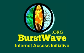 BurstWave Foundation